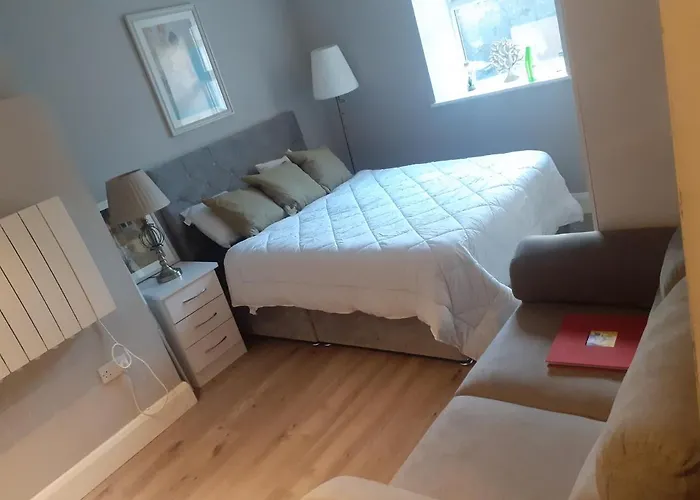 Spacious Studio-dublin 3 公寓 *