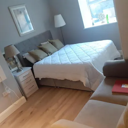 Spacious Studio-dublin 3 アパート *